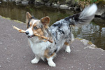 Bibi 17.05.2012