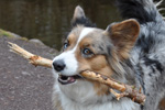 Bibi 17.05.2012