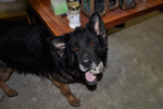Thor 25.01.2011