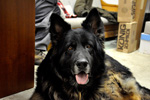 Thor 25.01.2011