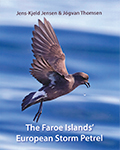 The Faroe Islands European Storm Petrel 