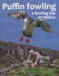 Puffin hunting in the Faroes