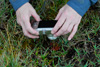 Hendan myndin lýsir rættiliga væl, hvussu lítlar nógvar av føroysku plantunum eru - her til dømis rundblaðað sóldøgg  / This photo of of Marita photographing rundblaðað sóldøgg Drosera rotundifolia gives a clue about the size of many Faroese flowers.