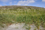 Mølheyggjarnir, Sandoy 02.07.2011