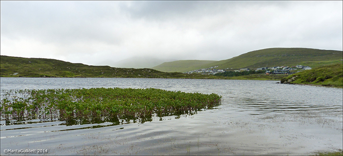 Toftavatn 20.08.2014