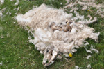 Skvoy 23.06.2012