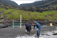 Viðvík, Viðoy 03.08.2021