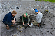 Viðvík, Víkar, Vágar 07.08.2021