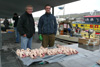 Nólsoyingar selja bert feskar og lakasaltaðar nátaungar / Nólsinger sælger kun ferske og saltlage behandlede mallemukunger / The men from Nólsoy only sell fresh or brined young fulmars.