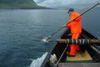 Finnbogi hevur fingið ein nátaunga í glúpin / Finnbogi har fået en mallemuk unge i nettet / Finnbogi caught a young fulmar with his net.