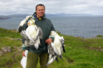 Mikkjal hunting Fulmars