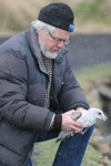 Jens-Kjeld Jensen & Larus delawarensis