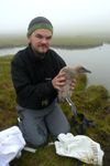 Sjúrður Hammer við eini skúgvapisu / Stercorarius skua