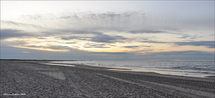 Grenen