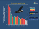 Puffin graph