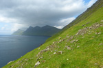 Kalsoy 19.07.2013