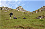 Kalsoy 12.08.2012