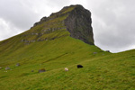 Borgarin, Kalsoy 03.09.2011