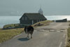 Kaldbaks kirkja / Kirken i Kaldbak / The church in Kaldbak.