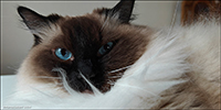 Malou 08.02.2024