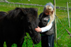 Føroyskt ross í Mykinesi / Færøsk hest på Mykines / Faroese horse in Mykines.