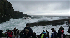 Froyur  briminum  Mykinesi 29.06.08 / Froyur i den pludselig opstede brnding p Mykines 29.06.08 / Froyur in the sudden breakers in Mykines 29.06.08.