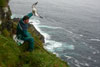 Poul Johannes Simonsen fleygar náta í Mykinesi / Poul Johannes Simonsen fanger mallemukker på Mykines / Poul Johannes Simonsen catching Fulmars in Mykines.