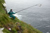 Poul Johannes Simonsen fleygar náta í Mykinesi / Poul Johannes Simonsen fanger mallemukker på Mykines / Poul Johannes Simonsen catching Fulmars in Mykines.