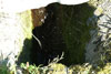 Lokkanet / Spindelvv / Spider's web.