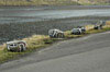 Vegjaðari í Kollafirði / Kantsten i Kollafirði / Kerbstones in Kollafirði.