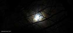 Veurgarar 04.12.2014