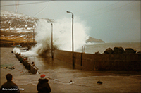 Nólsoy 1984