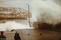 Nólsoy 1984