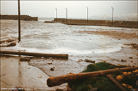 Nólsoy 1984