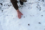 Estimating the size of the footsteps