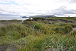 Mølheyggjarnir, Sandur 12.08.2009