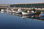 Skopun 26.05.2012