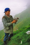 Herman ringmerkir líra í Skúgvi í 1998 / Herman ringing Manx Shearwater youngs in Skúvoy in 1998