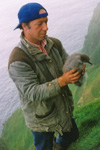 Herman ringmerkir líra í Skúgvi í 1998 / Herman ringing Manx Shearwater youngs in Skúvoy in 1998