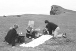 Eggini verða tald / Counting the eggs