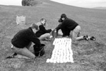 Eggini verða tald / Counting the eggs