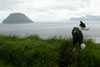 Útsýni av Stóru Dímun yvir á Lítlu Dímun / Udsigten fra Stóra Dímun over mod Lítla Dímun / The view from Stóra Dímun to Lítla Dímun.