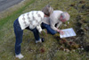 Jens-Kjeld leitar eftir eiturkoppum / Jens-Kjeld Jensen leder efter edderkopper / Jens-Kjeld Jensen searching for spiders. 