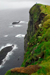 Birdland in Mykines