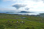 Trshavn 07.09.2008.