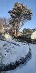 Trshavn 12.04.2021