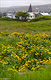 Trshavn 31.05.2024