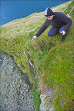 Baraldur í Viðoy