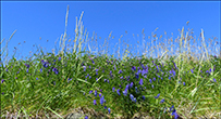 Srvgur 10.07.2024