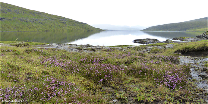 Leitisvatn/Sørvágsvatn 11.08.2013